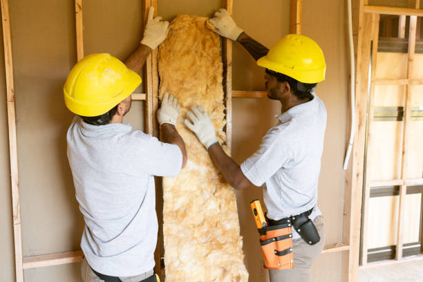 Best Attic Insulation Installation  in Mlstadt, IL